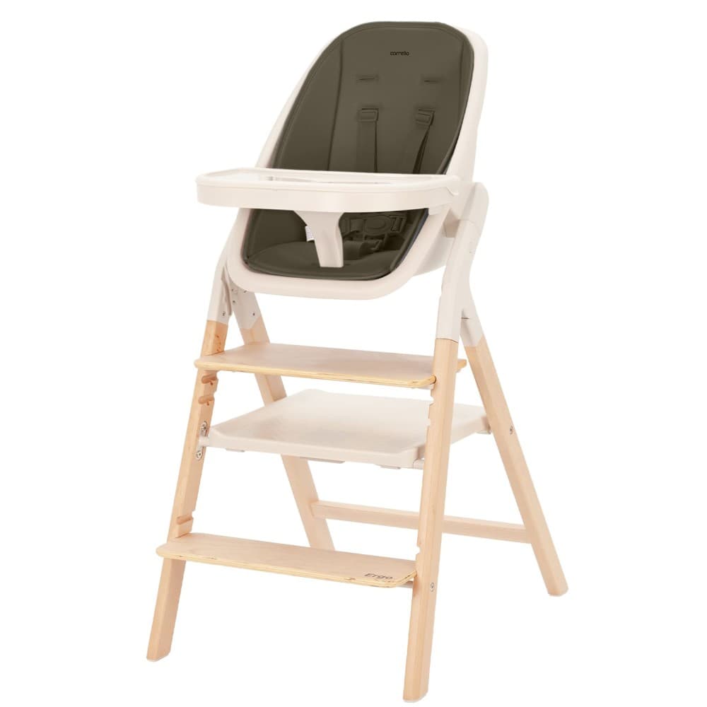 Стільчик для годування Carrello Ergo CRL-16701 Pine Green
