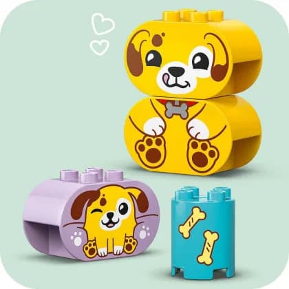 Конструктор Lego Duplo Сортер: будинок для цуценят 17дет 10441 фото 7