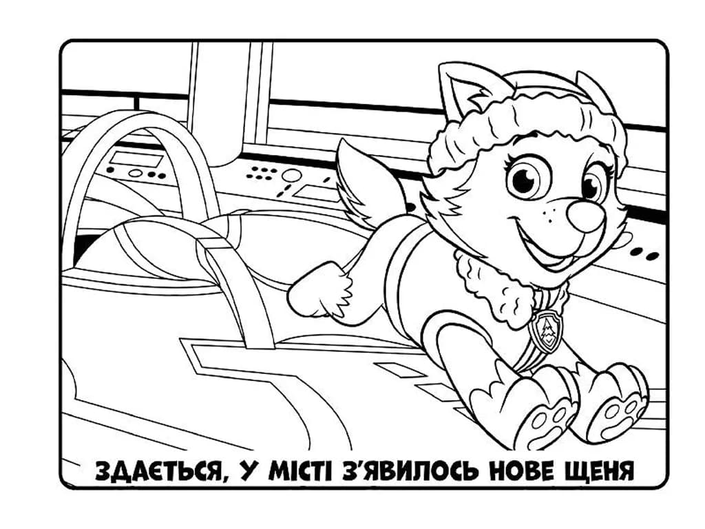 Розмальовка Щенячий патруль. Ловіть хвилю, щенята фото 5