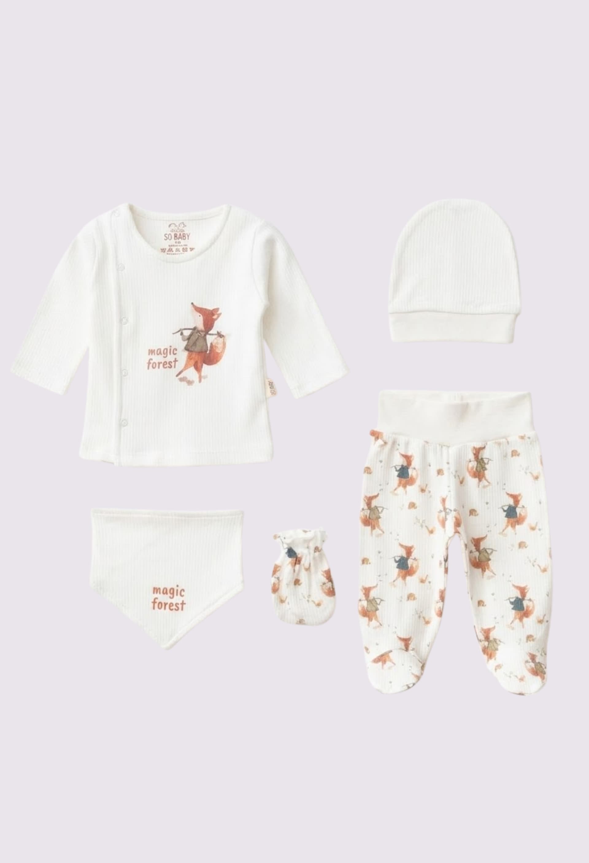 Комплект (кофта, повзунки, шапочка, слинявчик, царапки) 56 SD Baby 2121 мол