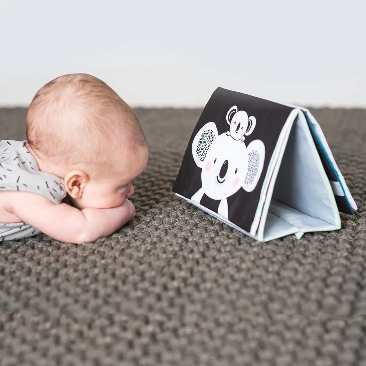 Книжка-розкладушка Taf Toys Мрійливі коали Пригоди коали Кіммі 12395 фото 6 Книжка-розкладушка Taf Toys Мрійливі коали Пригоди коали Кіммі 12395 фото 6