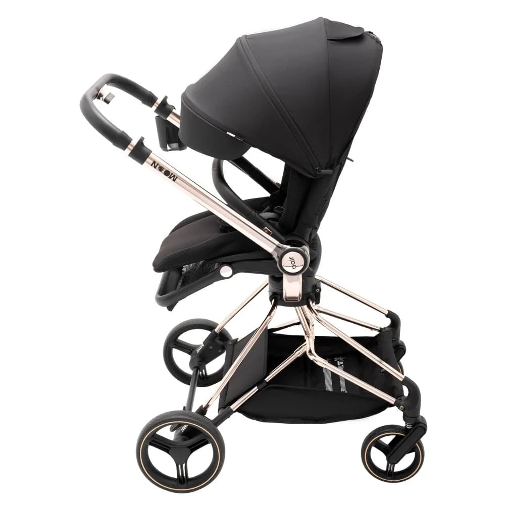 Коляска універсальна 2в1 Bair Moon Gold Edition MG-01 680930 фото 3