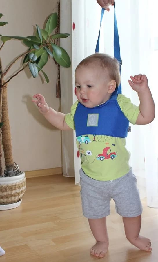 Віжки для малюка Baby Breeze 0319420 фото 2