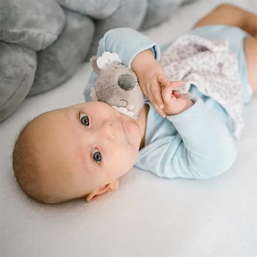 Обіймашка BabyOno Коала Коко 1635 фото 6