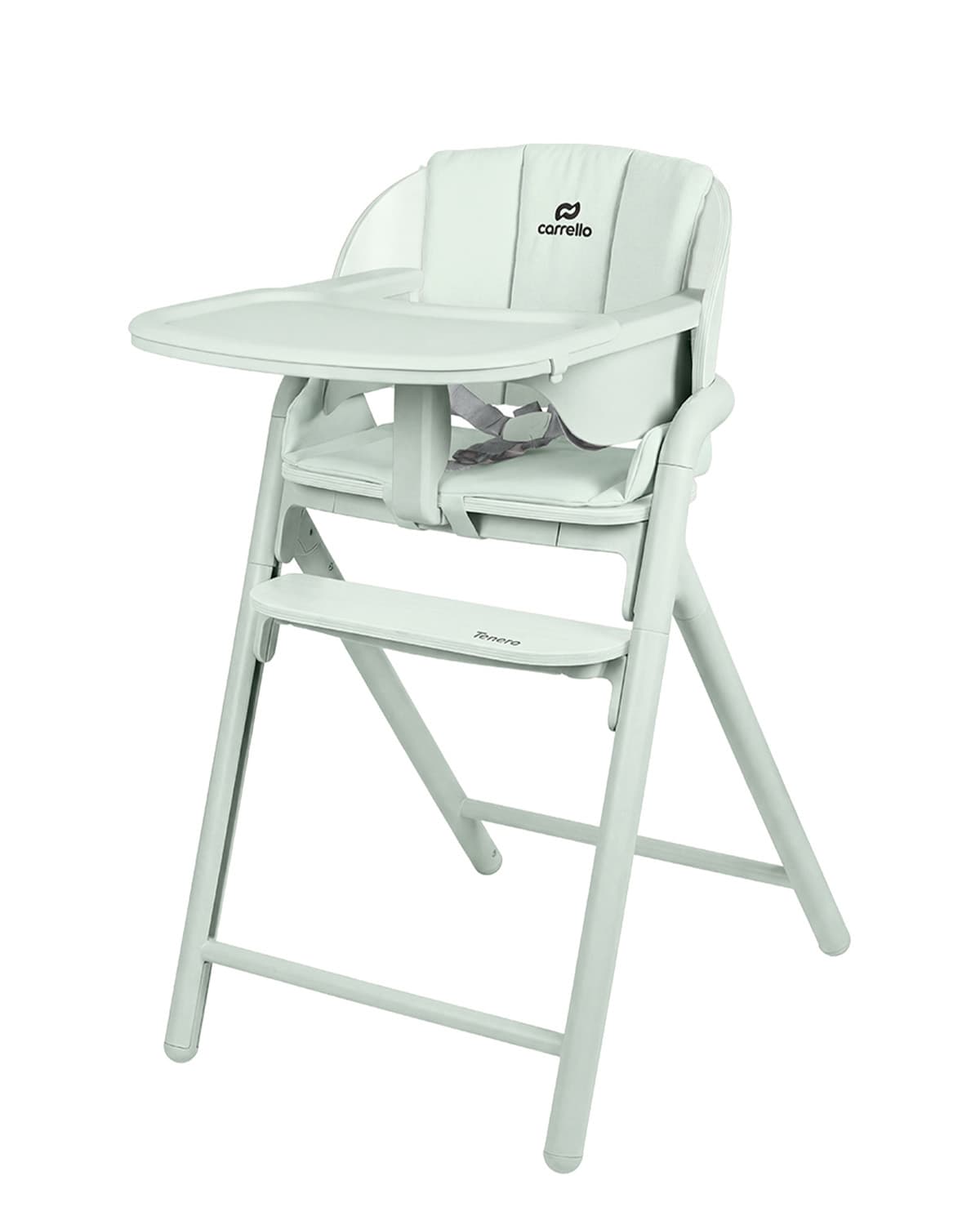 Стільчик для годування Carrello Tenero CRL-9507 Elysium Green