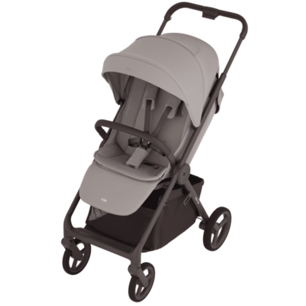 Коляска прогулянкова Anex Ride Chrome RD-01