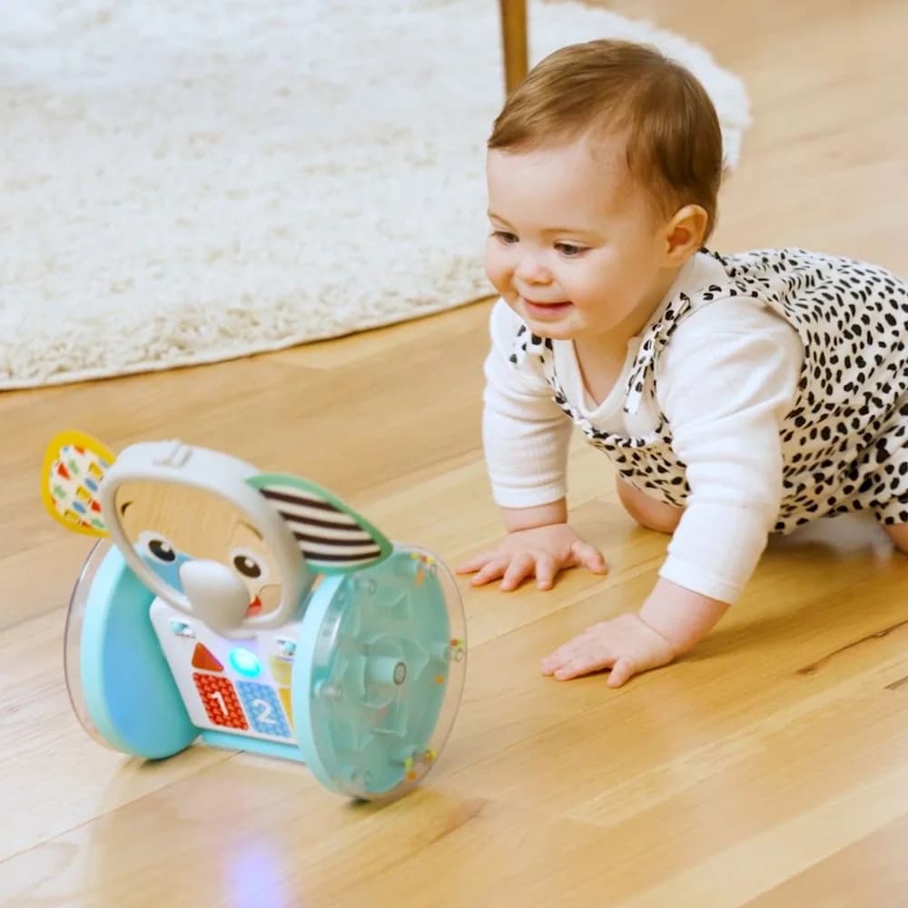 Іграшка музична Baby Einstein Chase & Tap Earl 16923 фото 8 Іграшка музична Baby Einstein Chase & Tap Earl 16923 фото 8