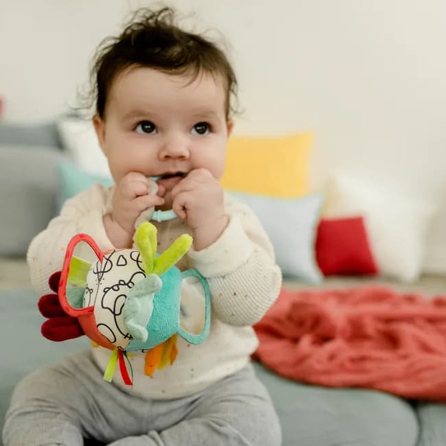 Підвіска розвиваюча Fehn М'яч DoBabyDoo 530 фото 4 Підвіска розвиваюча Fehn М'яч DoBabyDoo 530 фото 4