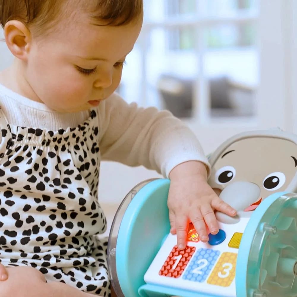Іграшка музична Baby Einstein Chase & Tap Earl 16923 фото 5 Іграшка музична Baby Einstein Chase & Tap Earl 16923 фото 5