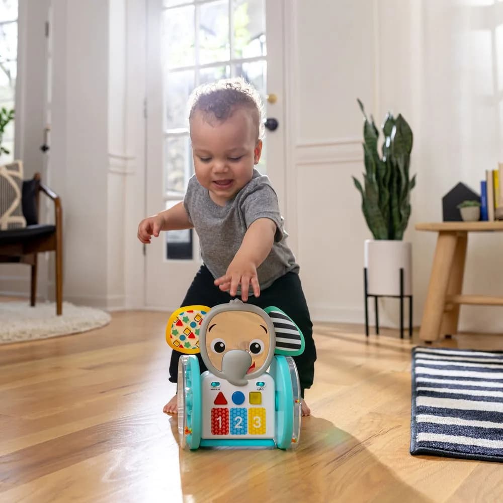 Іграшка музична Baby Einstein Chase & Tap Earl 16923 фото 10 Іграшка музична Baby Einstein Chase & Tap Earl 16923 фото 10