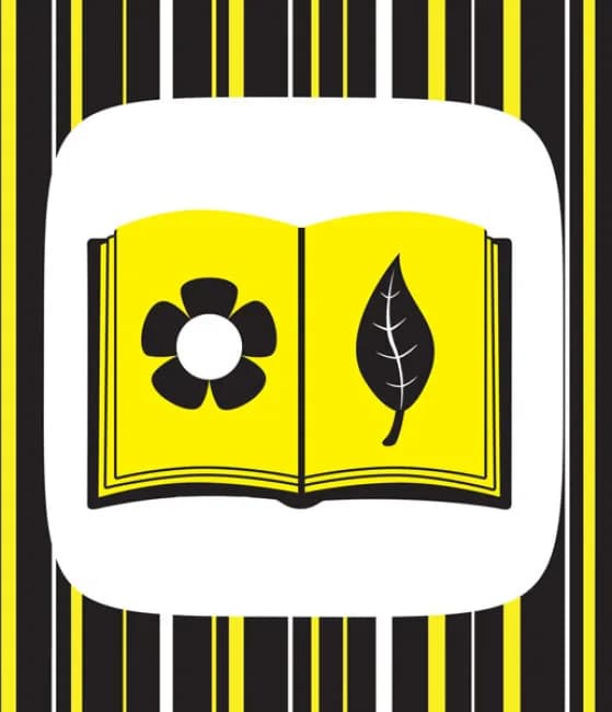 Книга Ранок Контрастна книжка для немовляти: Ку-ку-сі А755014У фото 4 Книга Ранок Контрастна книжка для немовляти: Ку-ку-сі А755014У фото 4